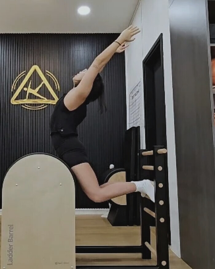 Swan extension over the ladder barrel